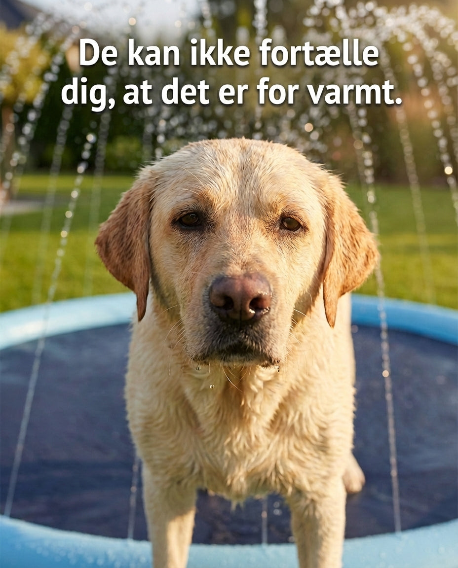 SplashPaw Sprinkler Pool